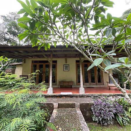 Carik Tangis Boutique Homestay Jatiluwih Kültér fotó