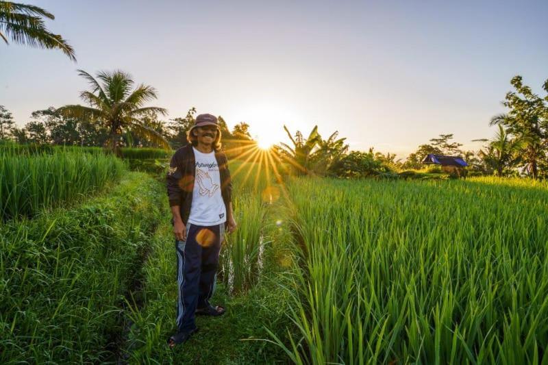 Carik Tangis Boutique Homestay Jatiluwih Kültér fotó
