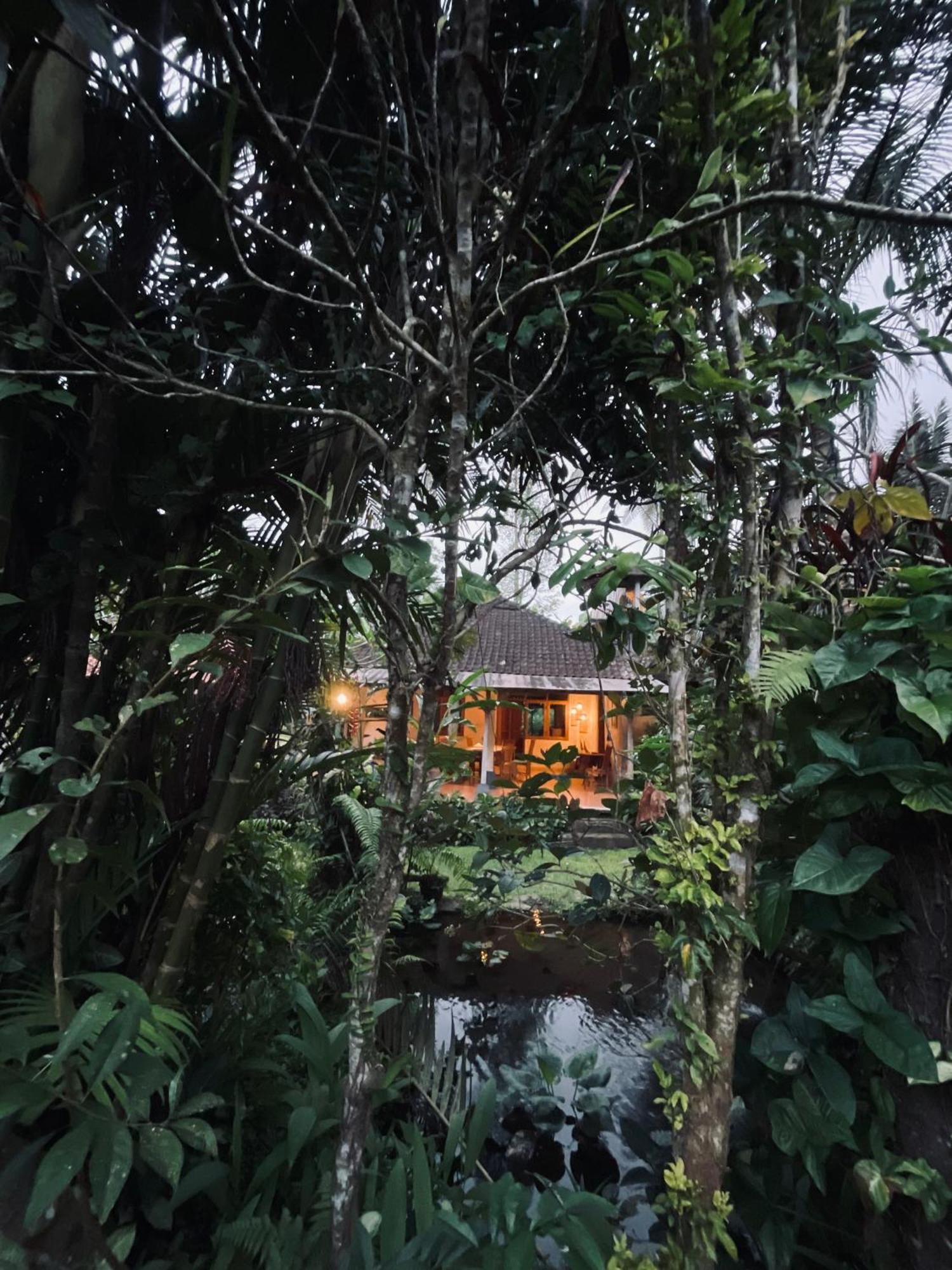 Carik Tangis Boutique Homestay Jatiluwih Kültér fotó