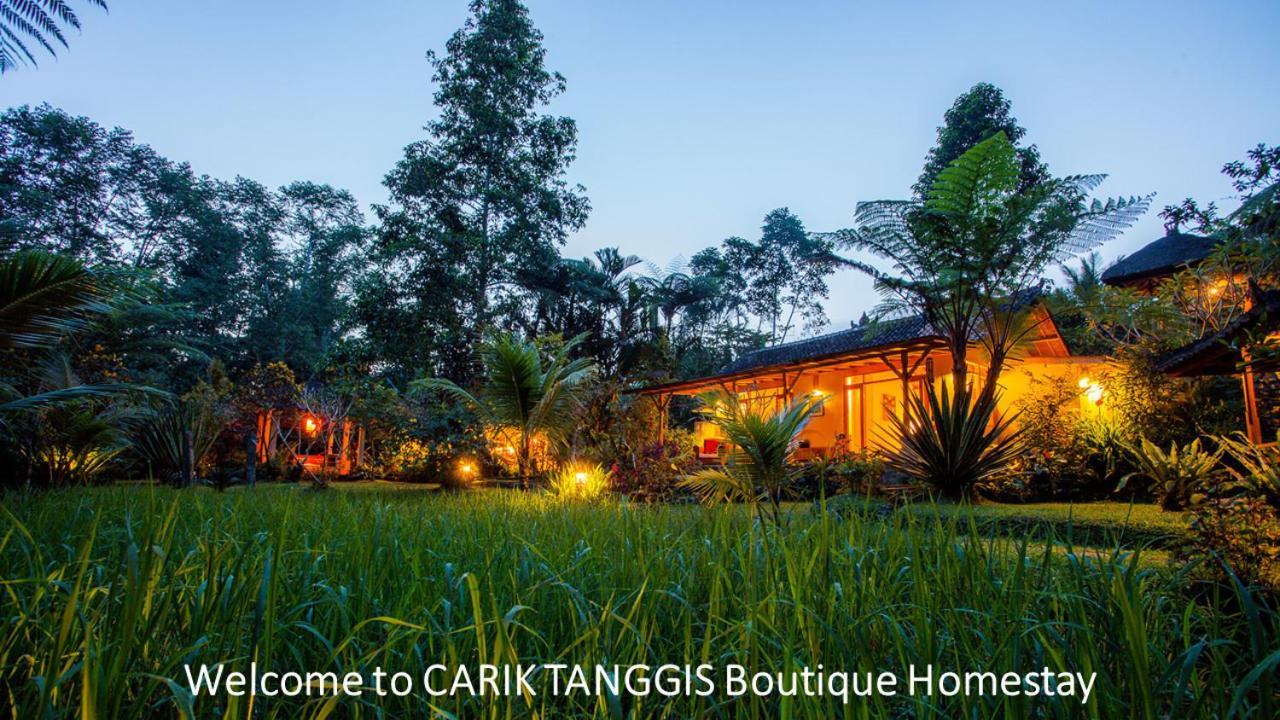 Carik Tangis Boutique Homestay Jatiluwih Kültér fotó